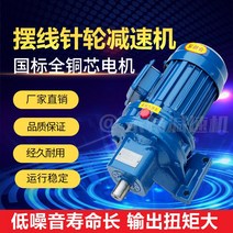 사이클로이드 핀 휠 감속기 BWD1 수평 유형 XWD2 수직 구리 코어 모터 및 직접 연결 포함, 4D