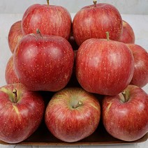 청송 부사 꿀 사과 설 구정 명절 사과 선물세트 산지직송 가정용 선물용, 부사고급 사과선물용 5kg 12-15과