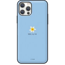 아이폰11Pro 케이스 또아네 꽃날 마그네틱 미러 카드 범퍼