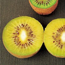 키위나무(골드키위)키150CM/묘목/dd0180