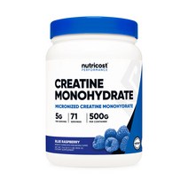 뉴트리코스트 크레아틴 모노하이드레이트 파우더 500g 블루라즈베리맛