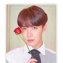 샵이공이 - DIY 굿즈 BTS 방탄소년단 정식 보석비즈십자수 캔버스 액자형 큐빅페인팅 단체 취미생활, BTS 보석십자수 시리즈-1, 4. j-hope