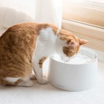 [고양이물그릇방구석식기강아지밥그릇] 까사미코 강아지 고양이 원목 유리 물그릇 기본형 14 x 8 cm, 혼합색상, 1개