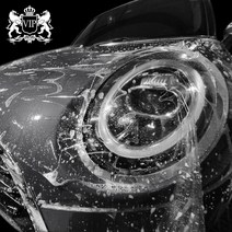 VIP V-GUARD PPF 보호필름 폴리우레탄 차종별전용 프로용/도어 도어엣지 주유구 트렁크 헤드라이트 안개등 사이드미러 필러 앞 뒷범퍼사이드, 프로용 패키지/카니발 KA4