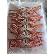 대게 홍게 당일배송 내일도착, 2. 명품대게(소) - 5마리[수율80%이상]