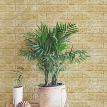 자이디 폼블럭 2.5m 이음새없는 폼블럭, 마블아이보리 2.5M, 1개