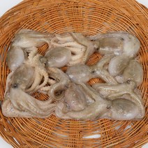 냉동 활 쭈꾸미 주꾸미 1kg (9마리 전후) 업소용 도매 식당용, 1개, 1kg X 4팩 (4kg)