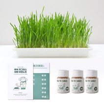 캣그라스 수경재배 키트 + 귀리 밀 보리 씨앗 + 재배노트 포함, 흰색