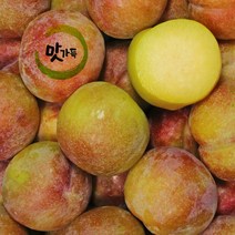 맛가득 프리미엄 자두 수박자두 피자두, 자두 특 4Kg, 1개