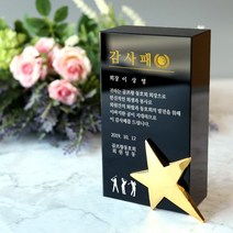 아이상패 ST-31(메탈-금별) 트로피 우승 감사패 공로패, ST-31-81(메탈-금별)