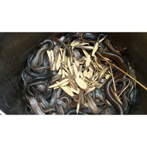 국산 미꾸라지즙 힘력보양탕 특별제조비법 기력회복 미꾸라지엑기스, 힘력보양탕 국산 3년생 미꾸라지 30포 100ML, 100ml