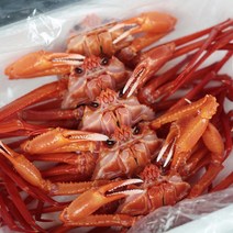 구룡포 동해안 가성비 홍게!택배+찜비 무료!, 동해안 가성비 홍게 10마리