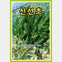 야생약초/나물 씨앗모음, 15. 신선초 재래종  100립
