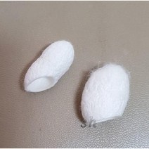 누에고치 /번데기 제거된 누에고치/ 실크볼 / 천연스크럽 / 국산누에고치