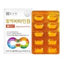 종근당 활력비타민B 고농축비타민B 메가도즈B 비타민B1컴플렉스