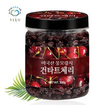푸른들판 몽모랑시 건타트체리 300gx1통 타르트 체리 건조 과일, 1개, 300g