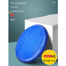강아지 운동기구 슬개골탈구 예방 재활 근력 애견짐볼, 파란색