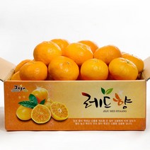 알동네 제주 레드향 2kg 3kg 5kg 중과 로얄과 소과 가정용 선물세트, 1박스, 레드향4.5kg중과(16-24과)벌크포장(농장추천)