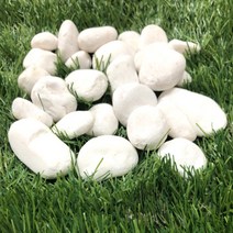 백자갈 소포장 흰자갈 하얀돌 1kg 테라리움 아쿠아리움 인테리어 조경석 화분돌