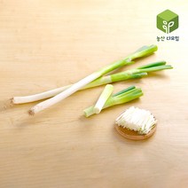국내산 대파 3.8~4kg, 단품