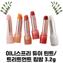 이니스프리 듀이 틴트/트리트먼트 립밤 3.2g 01베이비핑크 02멜론코랄 03러브베이지 04로즈브릭 05파워체리 06트리트먼트