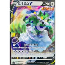 포켓몬카드 토네로스V+탑로더