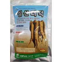 [23년생산]더덕씨앗 300g 대용량 심산더덕 국산 미래종묘, 1개
