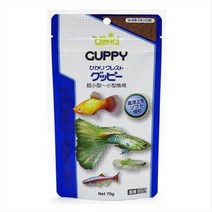 히카리 팬시 구피 70g 열대어 먹이 구피 먹이 사료