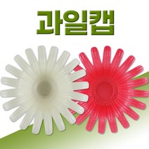 팬캡 과일캡 과일포장 과일보관 과일보호 충격방지, 160(아이보리) 200개
