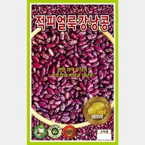 비만에 좋은 콩씨앗 모음 스파클완두 강낭콩 동부콩 땅콩 서리태콩 왜성적피 강낭콩 작두콩 적색덩굴강낭콩(적강낭콩) 제비호랑이강낭콩 콩 팥 호랑이강낭콩 흰강낭콩, 4. 강낭콩 적피얼룩강낭콩  50립