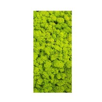 테라스 인조 잔디 이끼 벽 녹색 식물 DIY 미니 가든 에코 병 마이크로 조경 장식, 100g yellow green, 100g yellow green