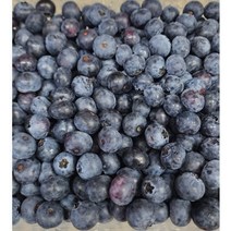 국산 블루베리 생블루베리 23년 생과 프리미엄1kg, 1kg, 1개