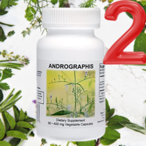 류마티스 관절염 치료 약 영양제 천심련 아나 파렉틴 12주, 2통, 90캡슐