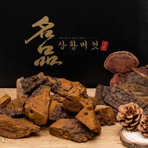 [원형상태발송]상황버섯/50년산 500g/자연산 정품 산뽕나무상황버섯/국내최상급상황버섯 고급포장