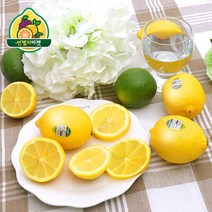미국산 팬시 레몬 특대과 20입, 단품