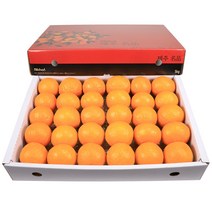 제주 신비향 수라향 설국향 선물세트 3kg 5kg 10kg, 1박스, 신비향(수라향) 대과 5kg(22~40과 내외)