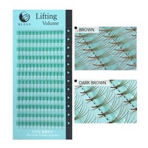 블레스 리프팅래쉬 4d 다크브라운 볼륨속눈썹 러시안볼륨 속눈썹, 1개, j0.07-13mm
