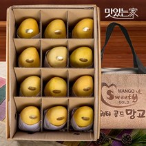 [맛있는 ]카라바오 생망고 선물세트[칸막이/부직포가방], 07.망고 5kg(16과)+부직포가방