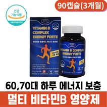 중년 노인 기력 활성 단백질 대사 비타민 b군 b5 b7 b12 미네랄 영양제 40대 50대 60대 70대 하루 에너지 보충 멀티 비타민b 비타민비군 판토텐산 엽산 비타민b컴플렉스