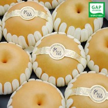 초록사랑 명품나주배 선물용고급포장 GAP인증, 1개, 5kg[6~7과]