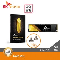 _SKHynix Gold P31 M.2 NVMe SSD 500GB~2TB_[고정나사 증정], _M.2 NVMe_, 1TB_