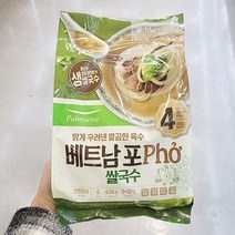 생가득 베트남쌀국수 (4인) 634G X 1개, 아이스박스포장