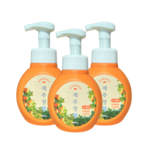 [제주청정:핸드워시] 제주도 포밍 손세정제_ZUZUZU 주주주, 천혜향 핸드워시 300mlx3개
