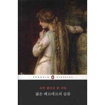 젊은 베르테르의 슬픔, 웅진씽크빅, 요한 볼프강 폰 괴테 저/마이클 헐스 해설/김재혁 역