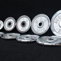 헬스 증량 경량원판 0.25kg 작은 벤치프레스 초경량 1.5kg 원판 저중량 바벨, 스틸1kgX2개