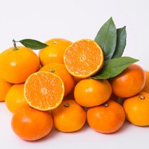 초록자연 레드향 5kg(8-10과) 제주 감귤, 1개, 상세페이지 참조