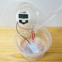 아연판 소금물 시계작동 실험키트 10인 수업용 전류흐름 방과후 창작용 집게전선