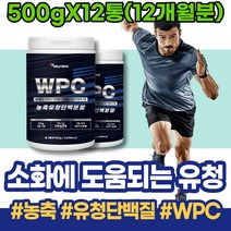 BCAA 헬스단백질보충제 보충제 WPI프로틴 실버 아이솔레이트 사무실개업선물 아빠 해썹인증 HACCP인증 WPI단백질 보충제추천 맛있는 부모님 남자 남녀 포우먼