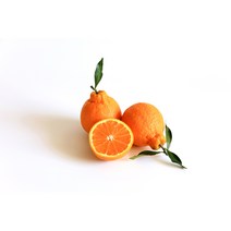 고당도 한라봉 3kg 5kg 10kg 선물용 가정용, 10kg (40~50과) 가정용