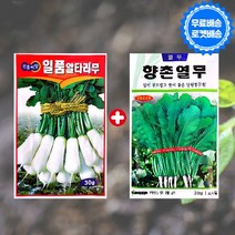 김장 채소씨앗 2종 알타리 열무 씨앗, 1개